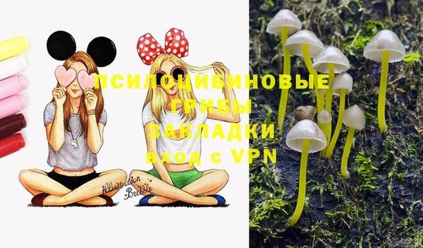 ешки Абдулино
